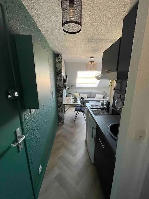 Charmant T2 Duplex En Hyper Centre 로리앙 프랑스