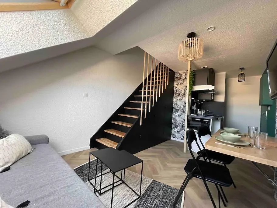 Charmant T2 Duplex En Hyper Centre 로리앙 프랑스